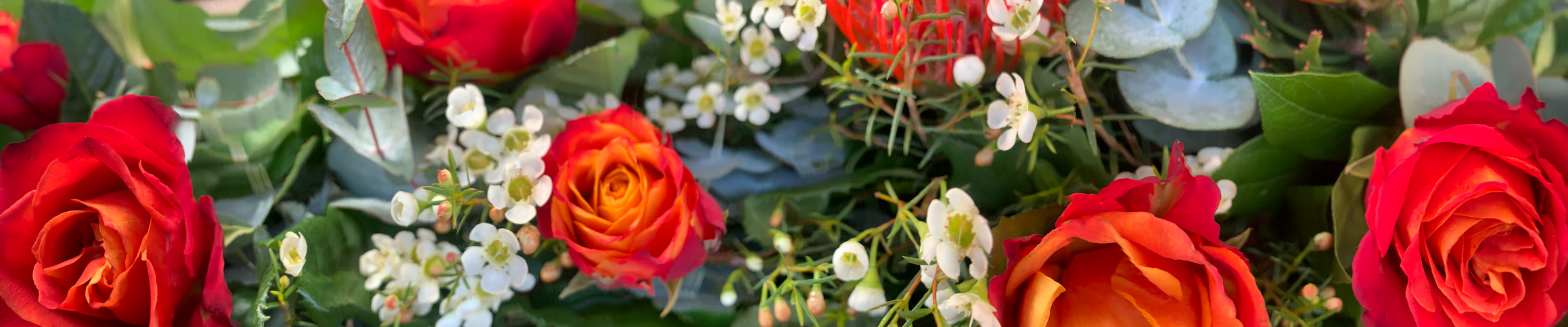 orange rose bouquet