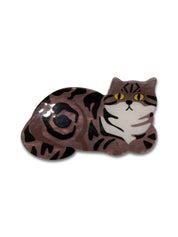 Tabby Cat Hair Claw