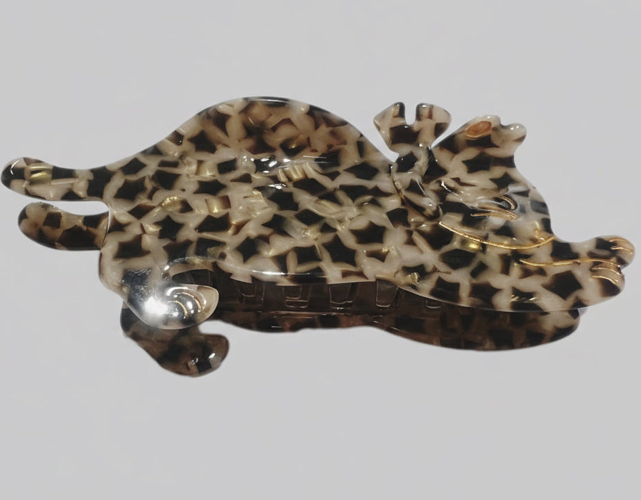 Large cat claw star tortoise on grey background