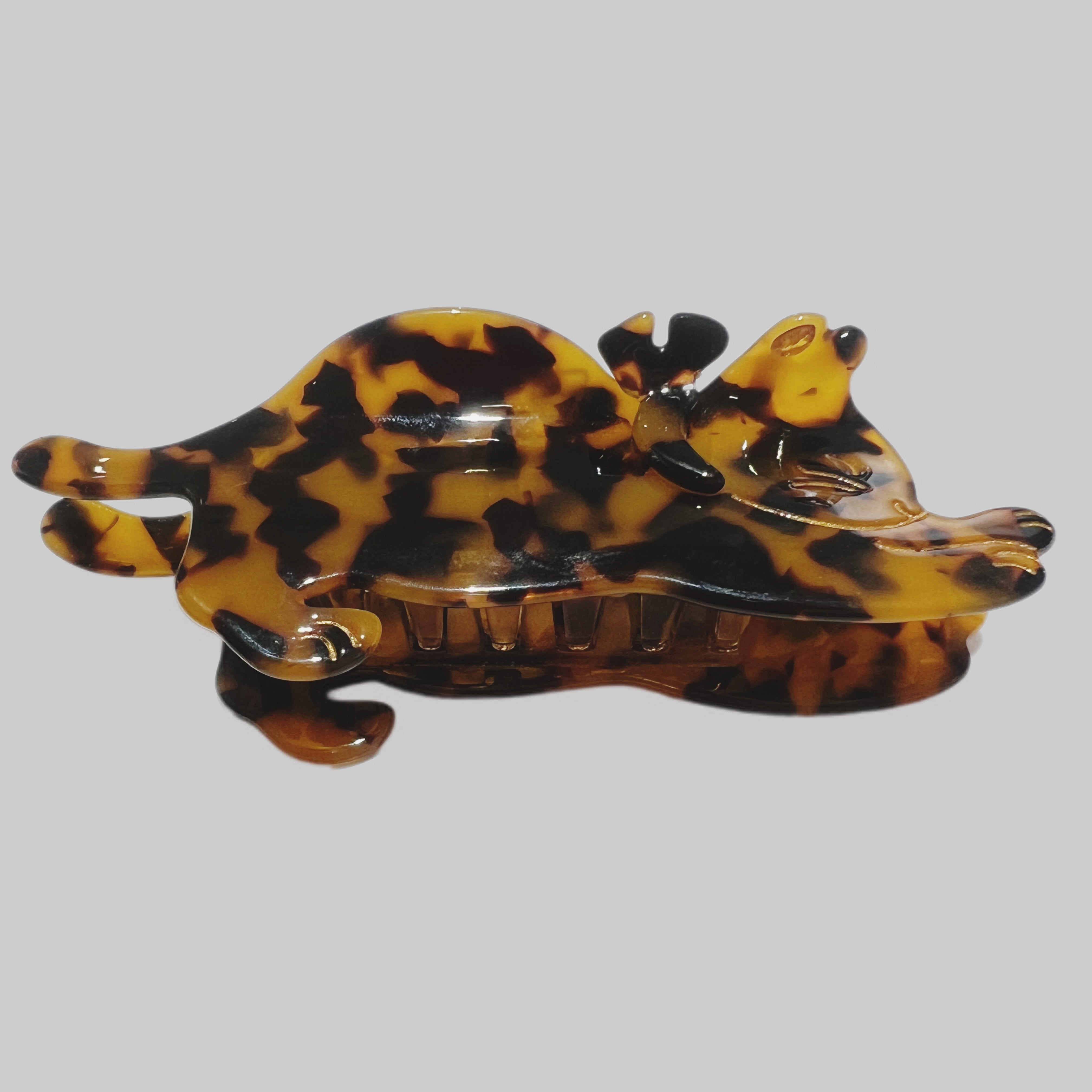 Large cat hair claw tortoise shell